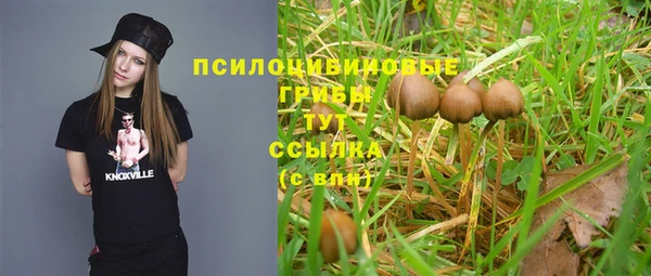прущие крисы Алексин