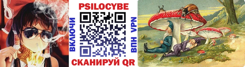 OMG рабочий сайт Солигалич Псилоцибиновые грибы MAGIC MUSHROOMS